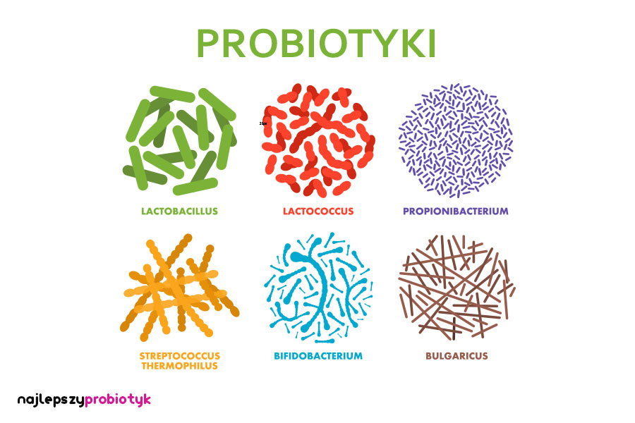 Bakterie probiotyczne