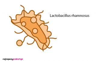 Lactobacillus rhamnosus