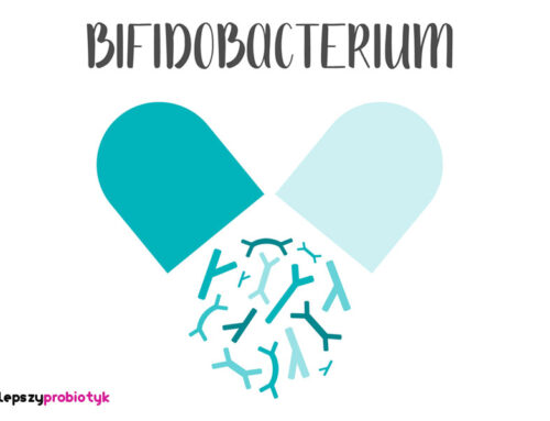 Bifidobacterium bifidum